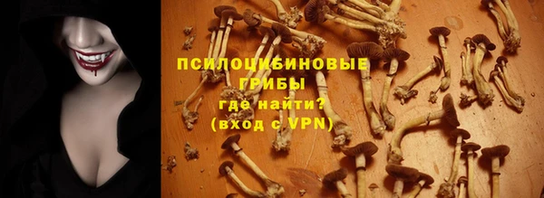 apvp Верея
