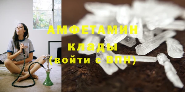 apvp Верея
