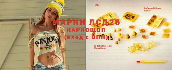 apvp Верея