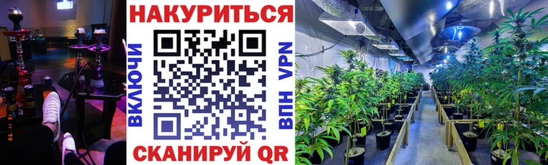 Бошки Шишки ГИДРОПОН  наркота  Нестеровская 